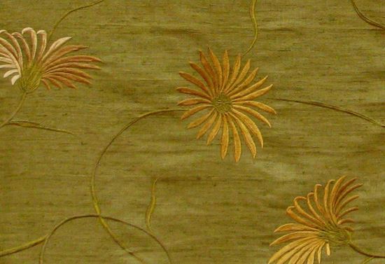 Picture of DAISY-MOSS