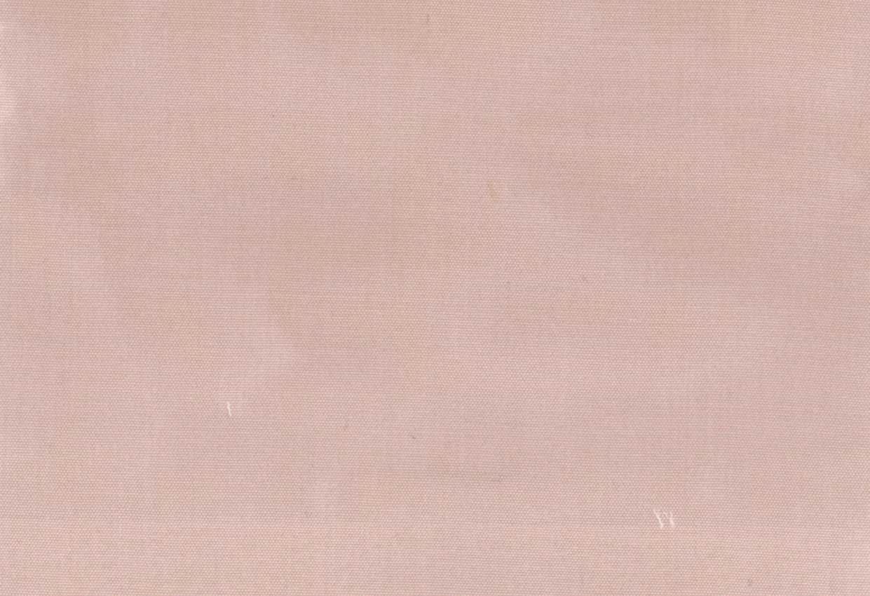 Picture of EMMA-SHELL