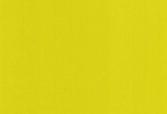 Picture of ETOILE-MOSS