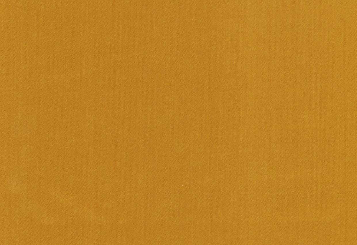 Picture of ETOILE-MUSTARD