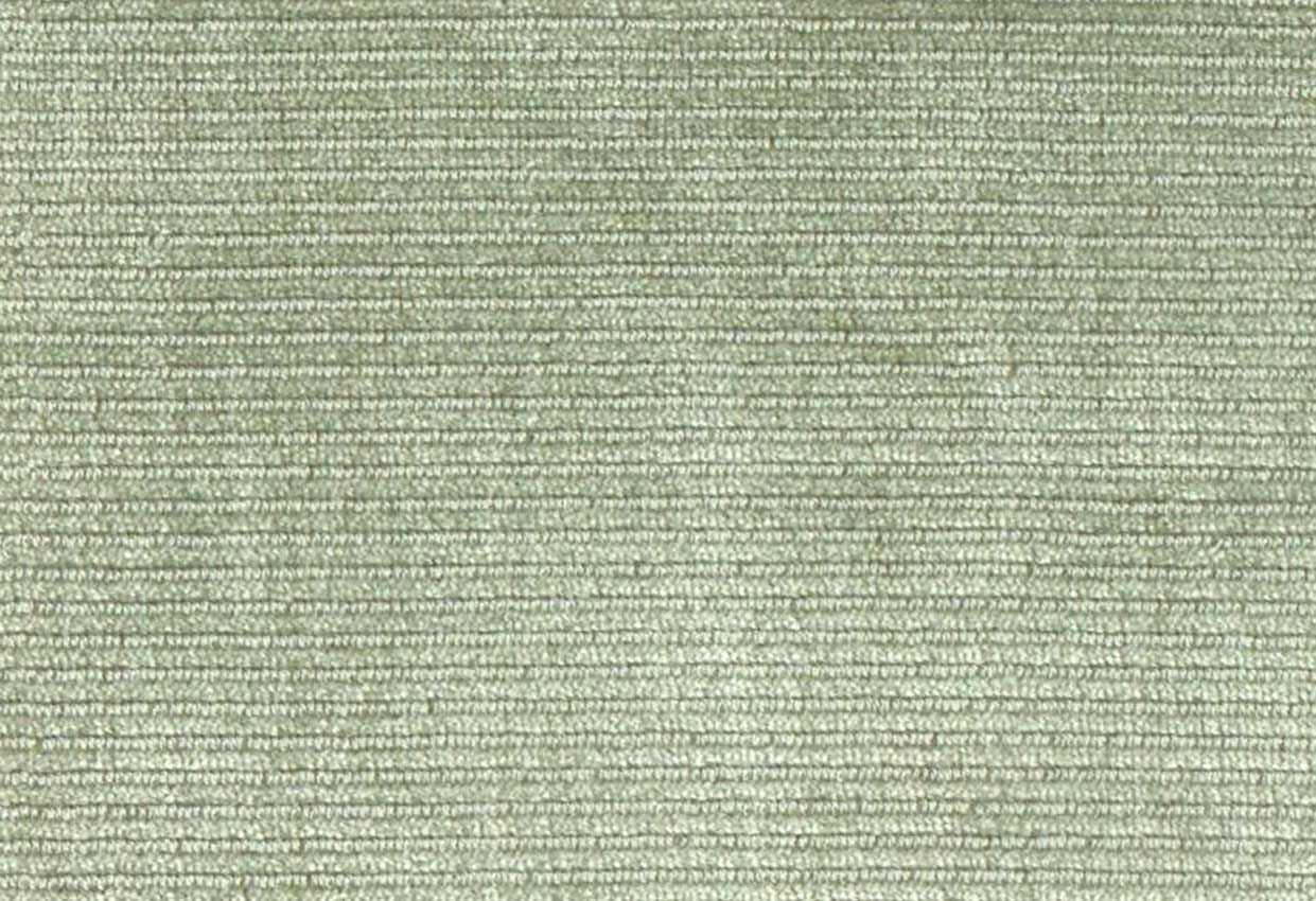 Picture of JADEN-ALOE