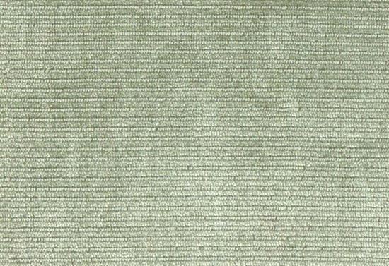 Picture of JADEN-ALOE