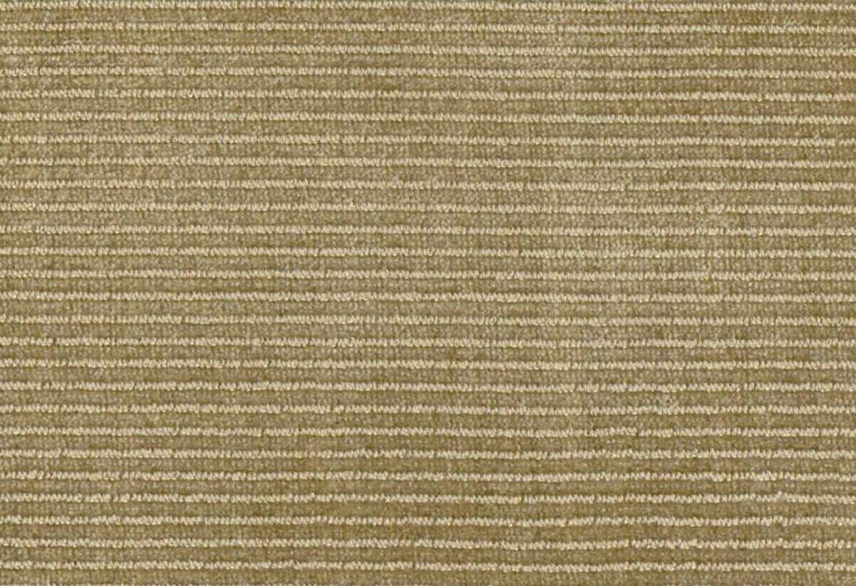 Picture of JADEN-THYME