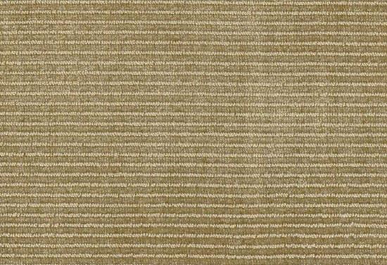 Picture of JADEN-THYME