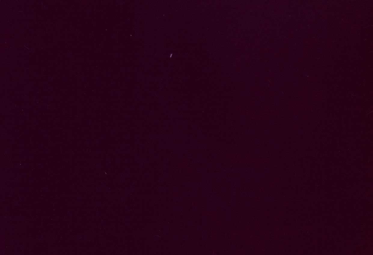 Picture of ZARATE-PLUM