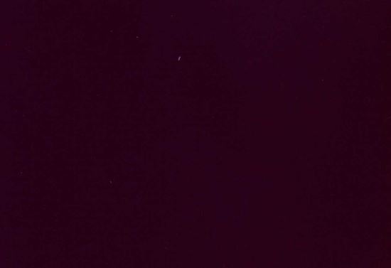 Picture of ZARATE-PLUM