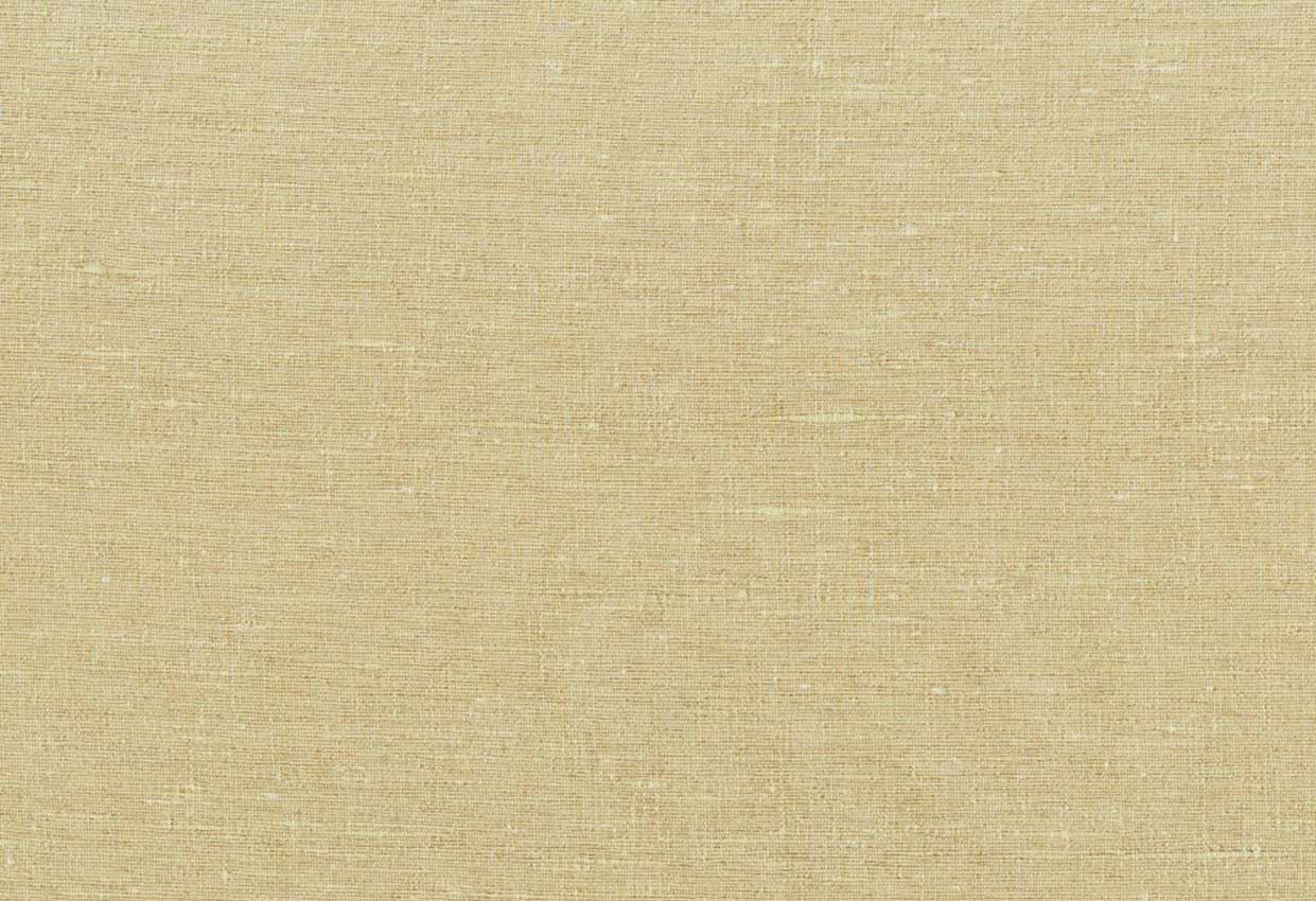 Picture of KELLY-BUFF