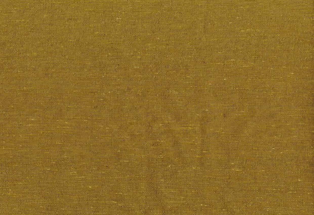 Picture of KELLY-DIJON