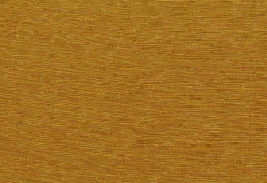 Picture of KELLY-HONEY