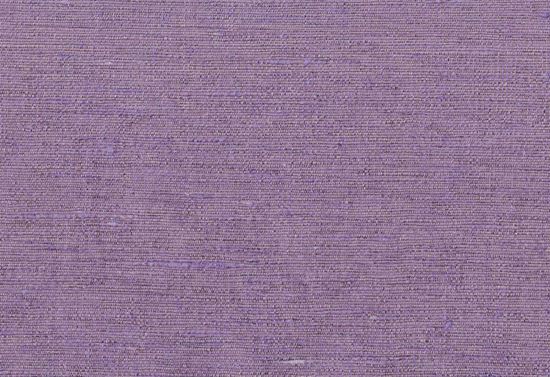 Picture of KELLY-LILAC