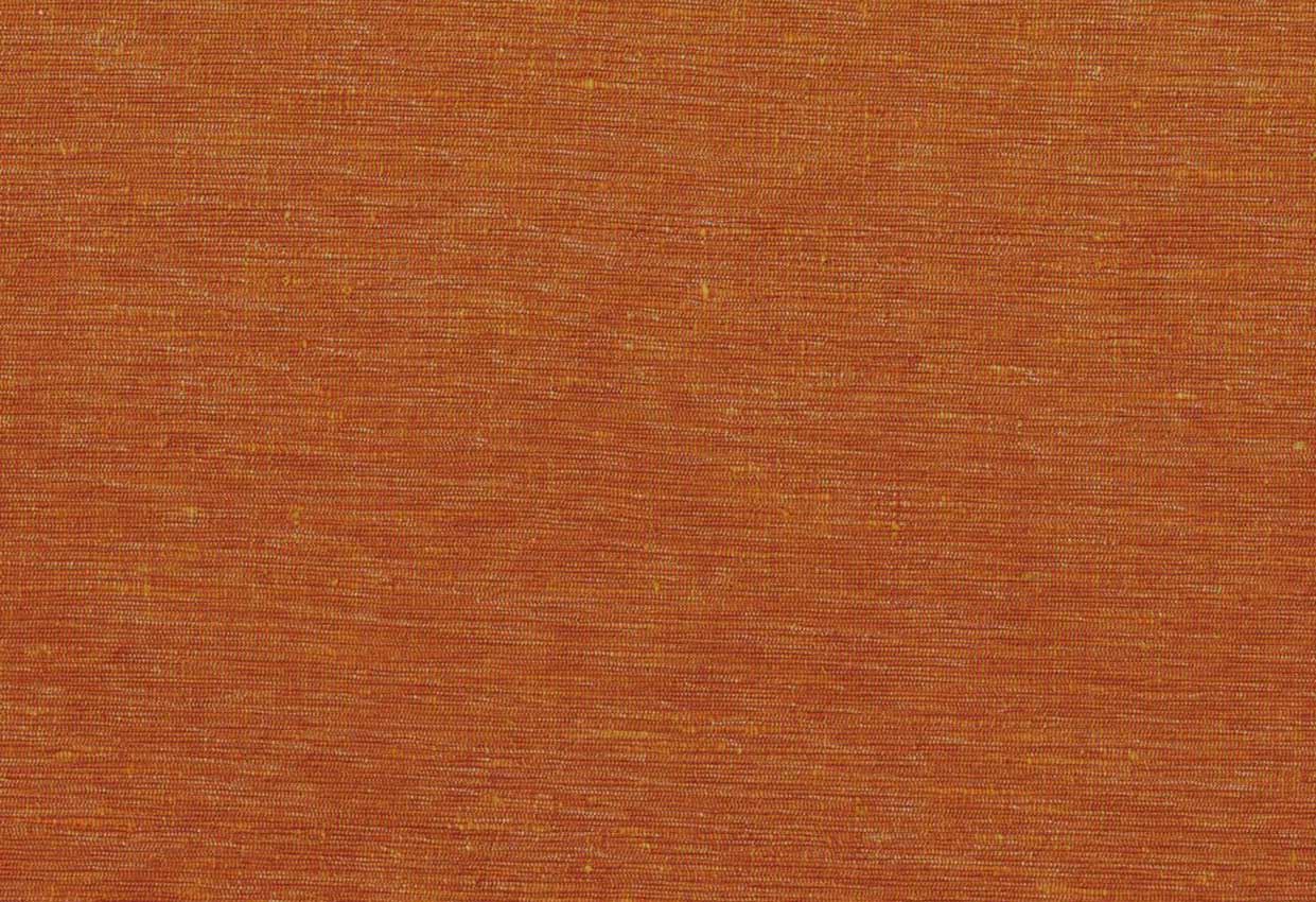 Picture of KELLY-SPICE