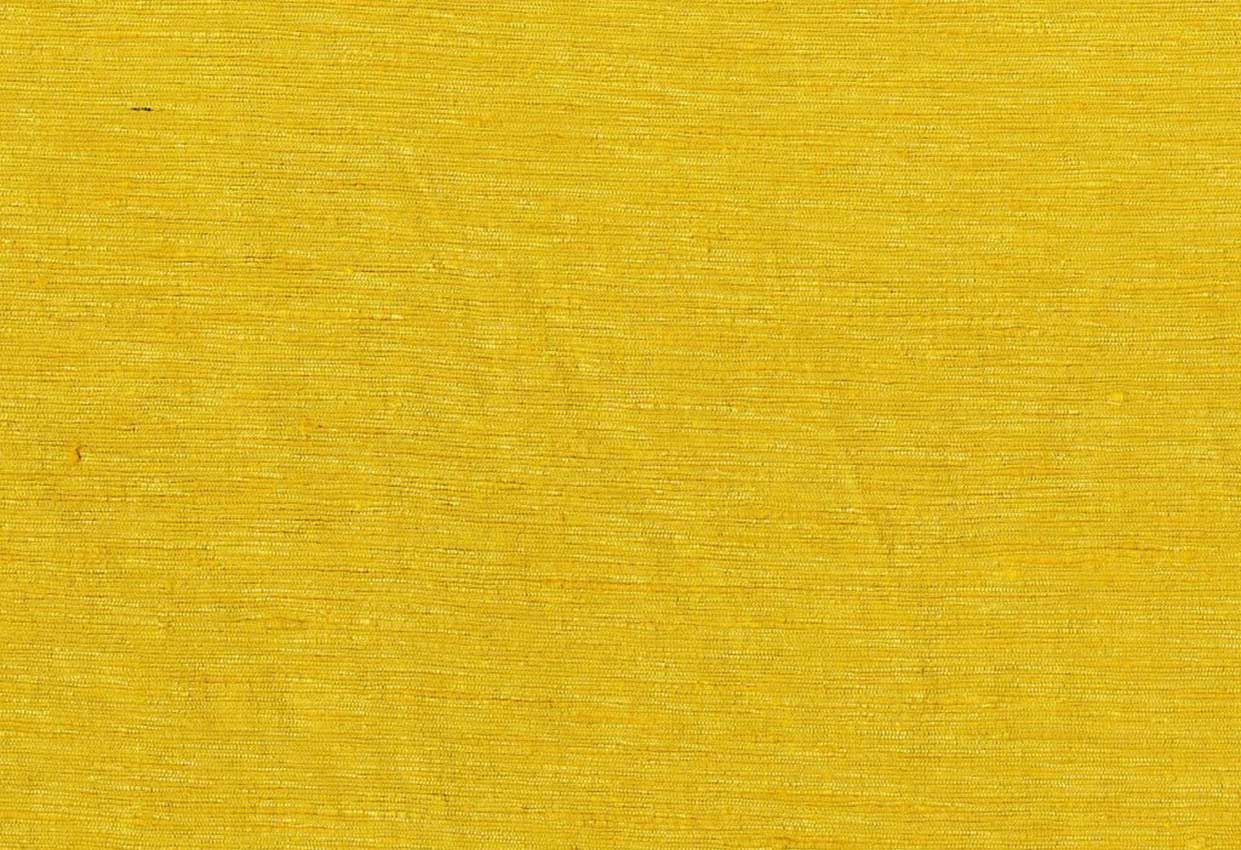 Picture of KELLY-SUNSHINE