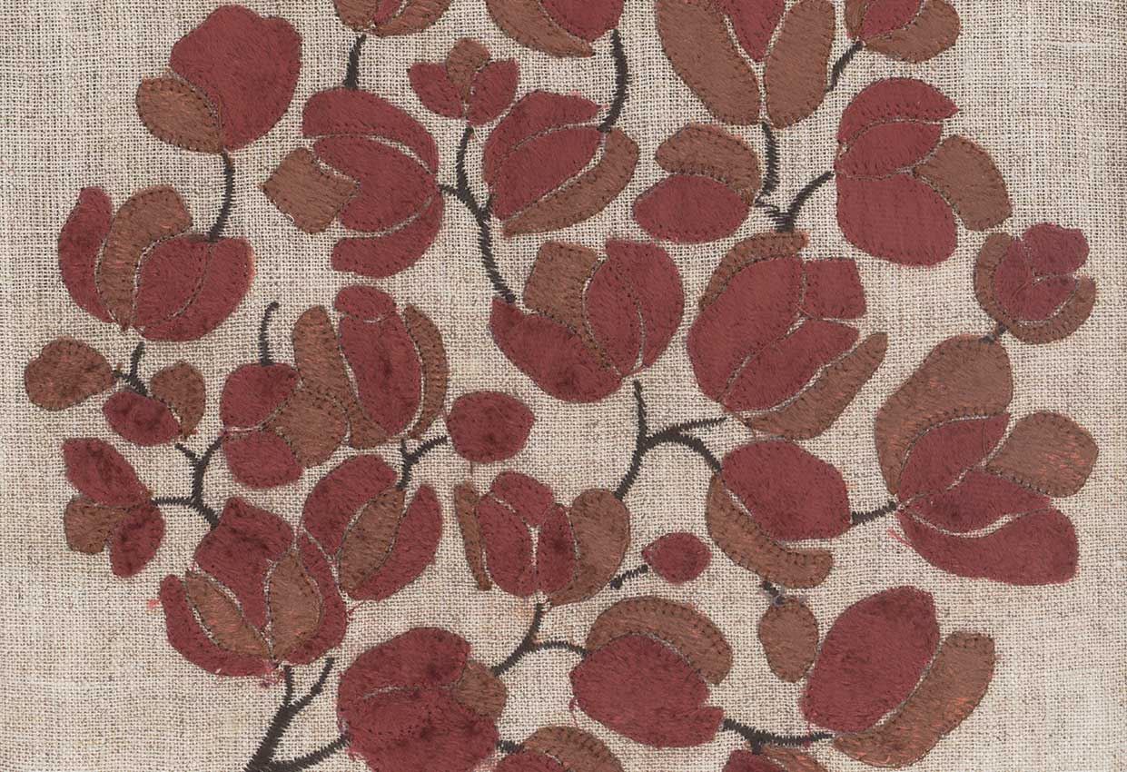 Picture of LUCIA-RASPBERRY