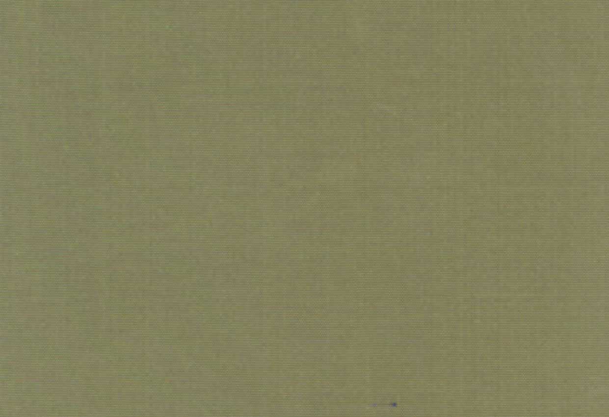 Picture of NAPA-OTTER