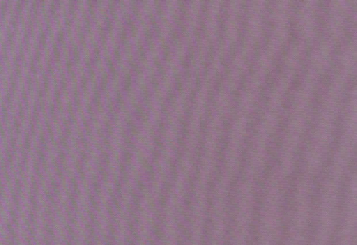 Picture of NAPA-ORCHID