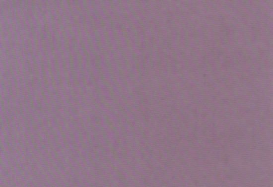 Picture of NAPA-ORCHID