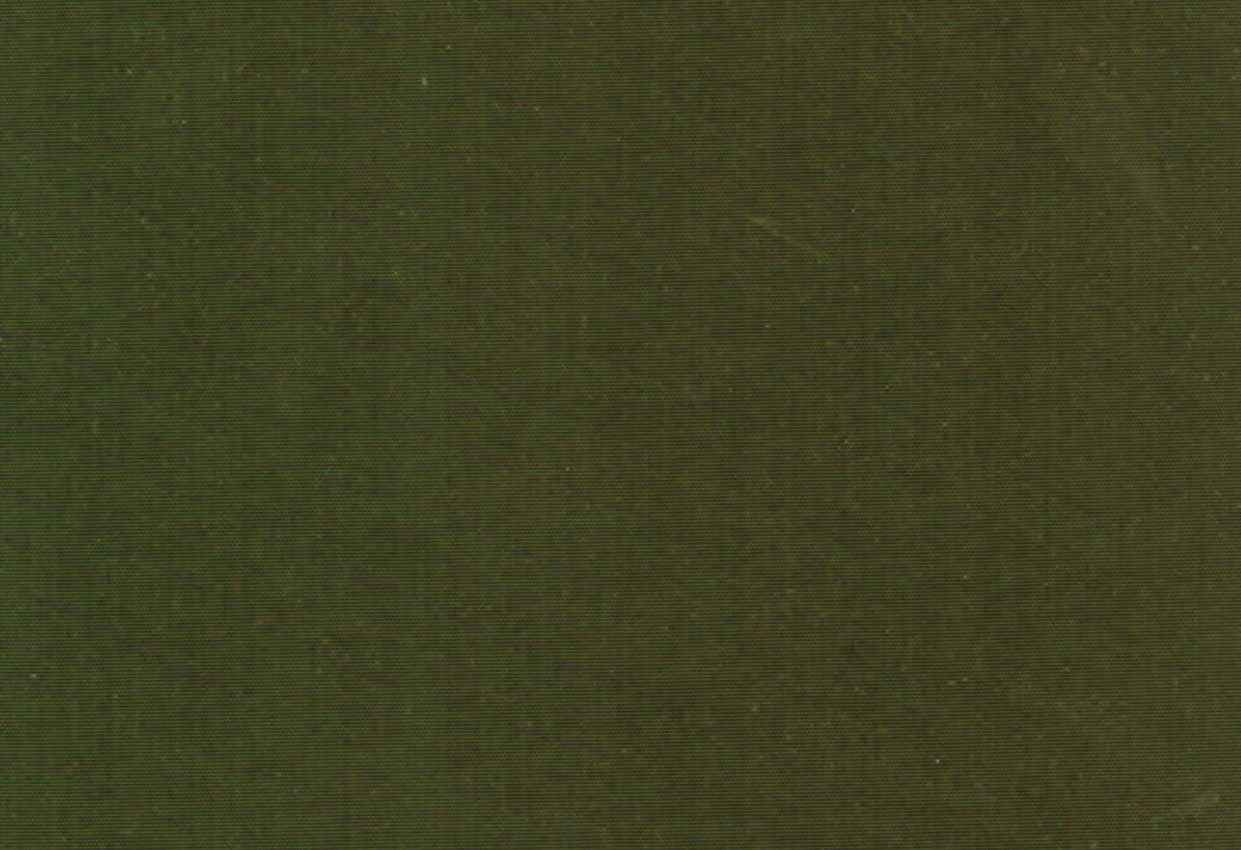 Picture of NAPA-OLIVE