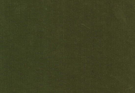 Picture of NAPA-OLIVE