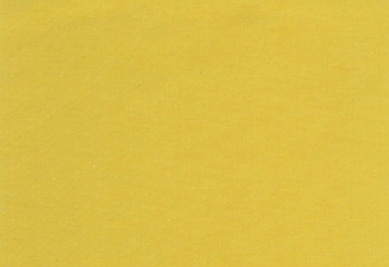 Picture of NAPA-MARIGOLD