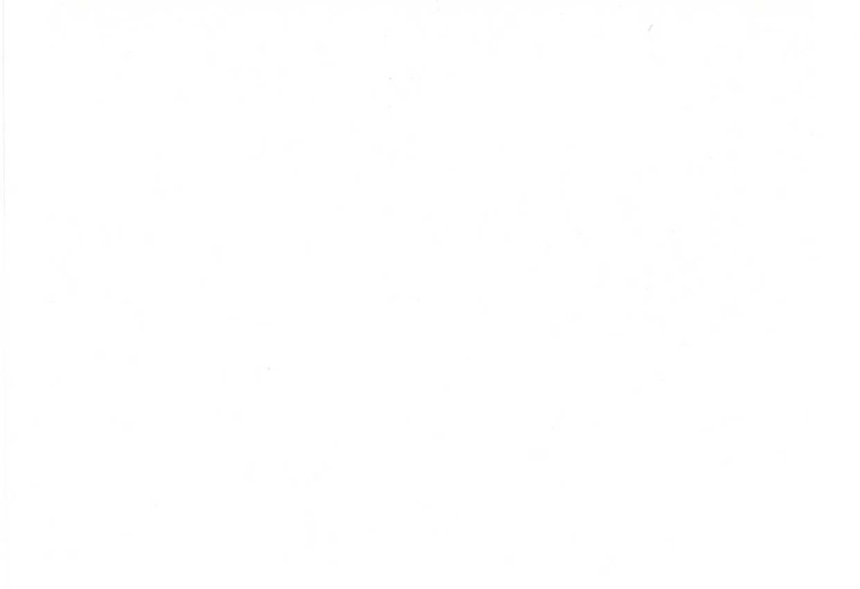 Picture of NAPA-WHITE