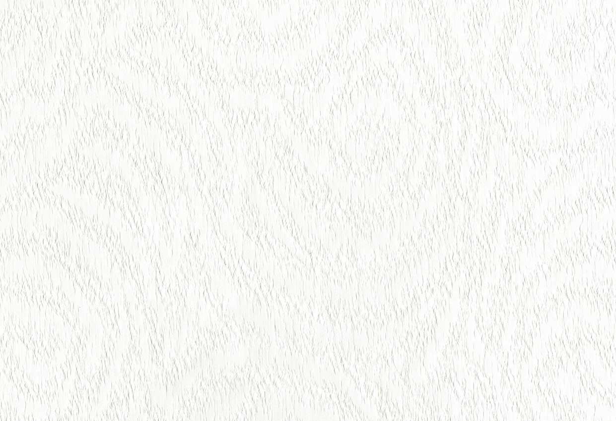 Picture of PAVIA-IVORY