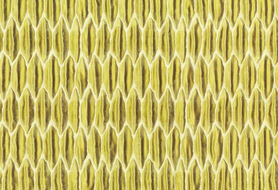 Picture of SPENCER-GOLD