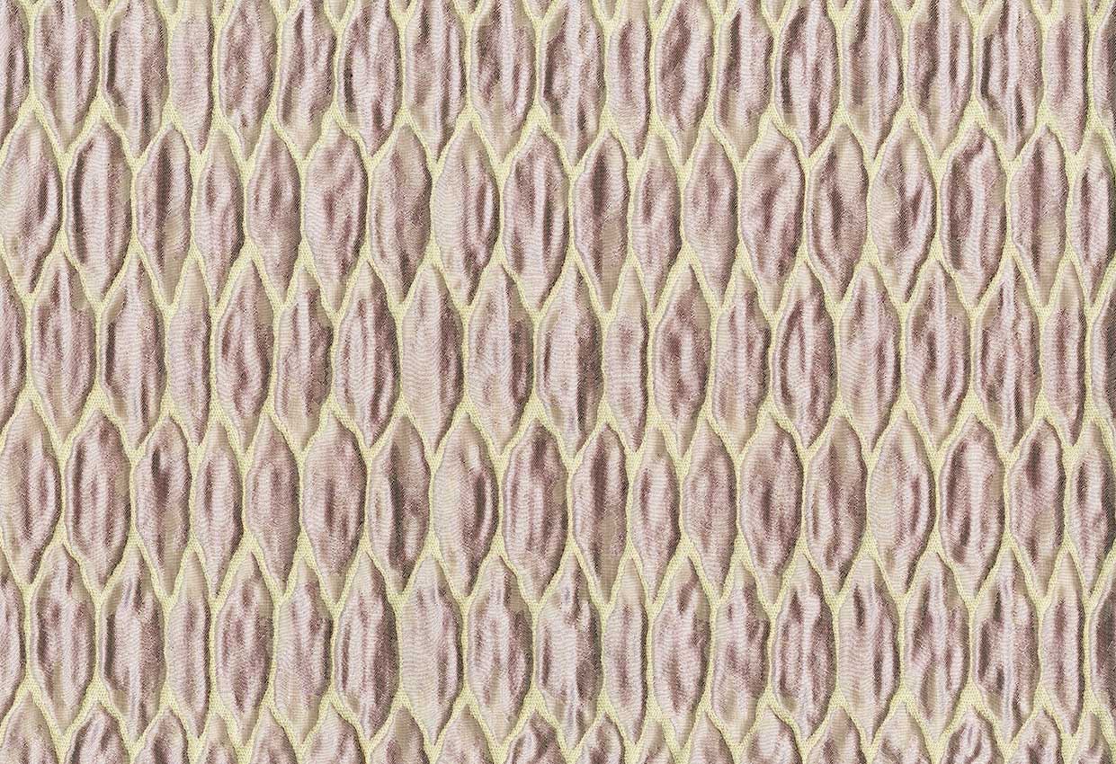 Picture of SPENCER-LILAC