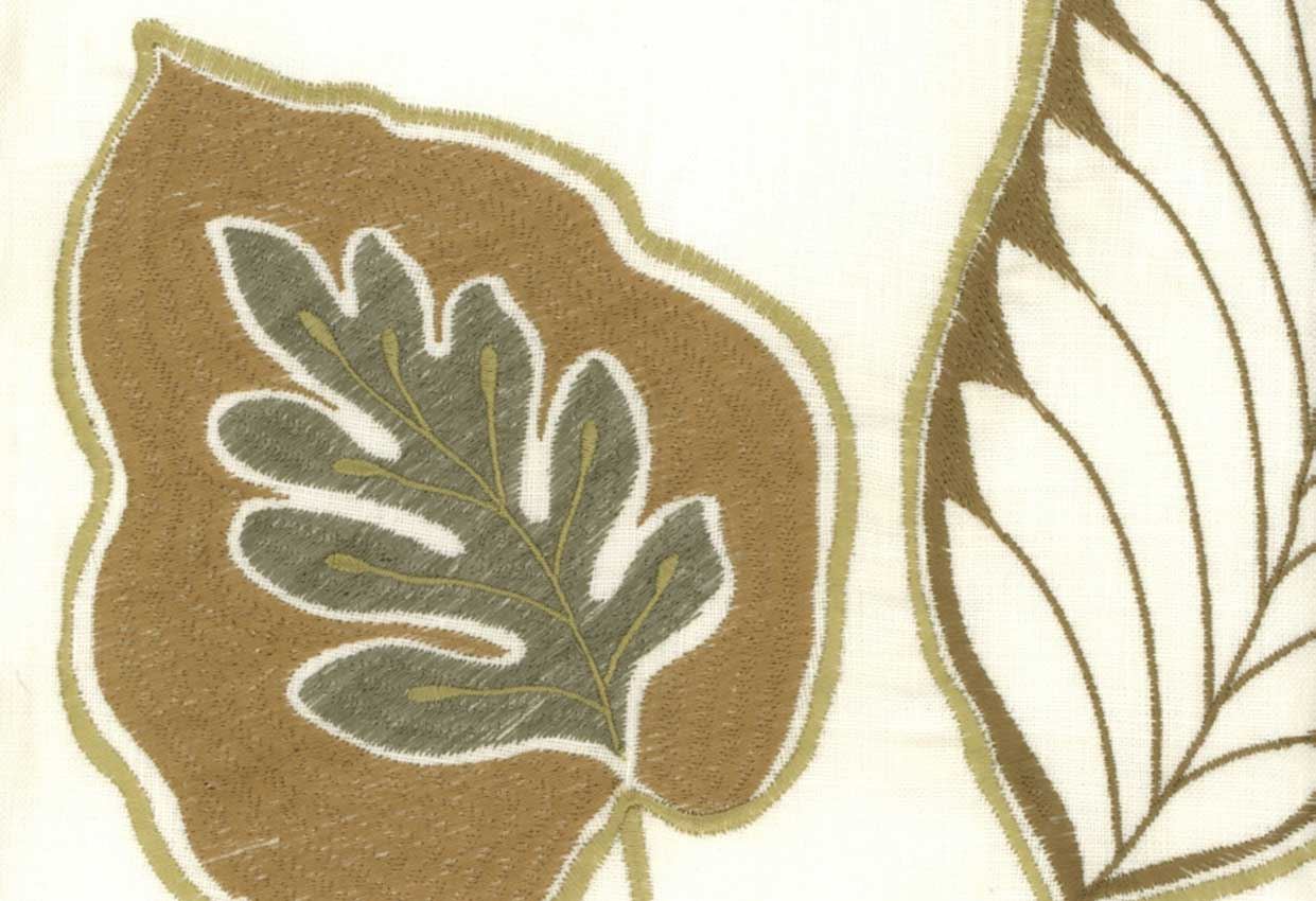 Picture of TARA-OYSTER