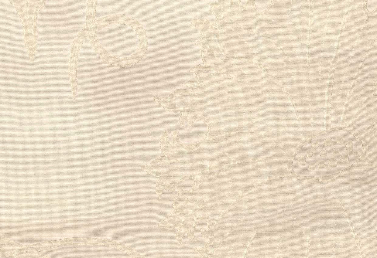 Picture of TAYLOR-OYSTER