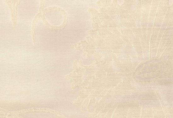 Picture of TAYLOR-OYSTER