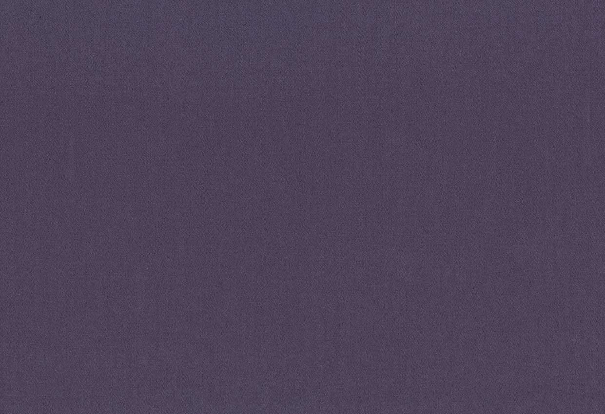 Picture of TURKS-EGGPLANT