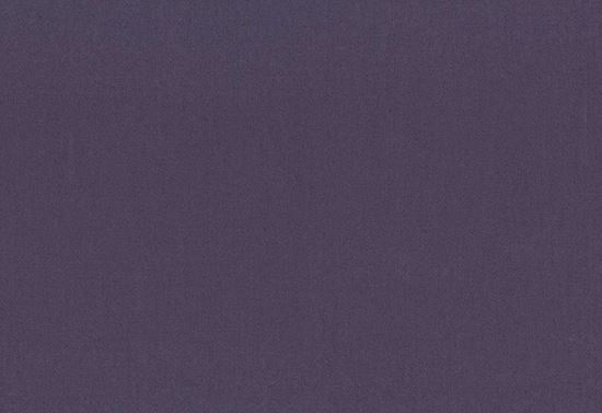 Picture of TURKS-EGGPLANT