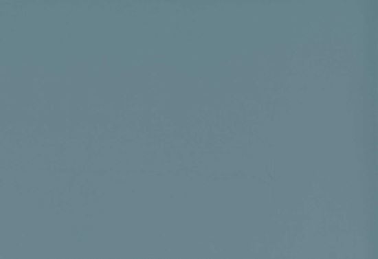 Picture of TURKS-FRENCH BLUE