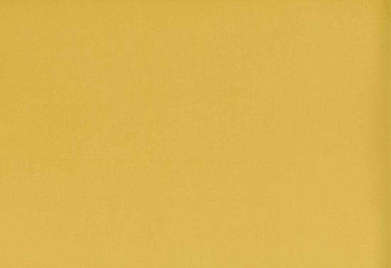 Picture of TURKS-GOLD