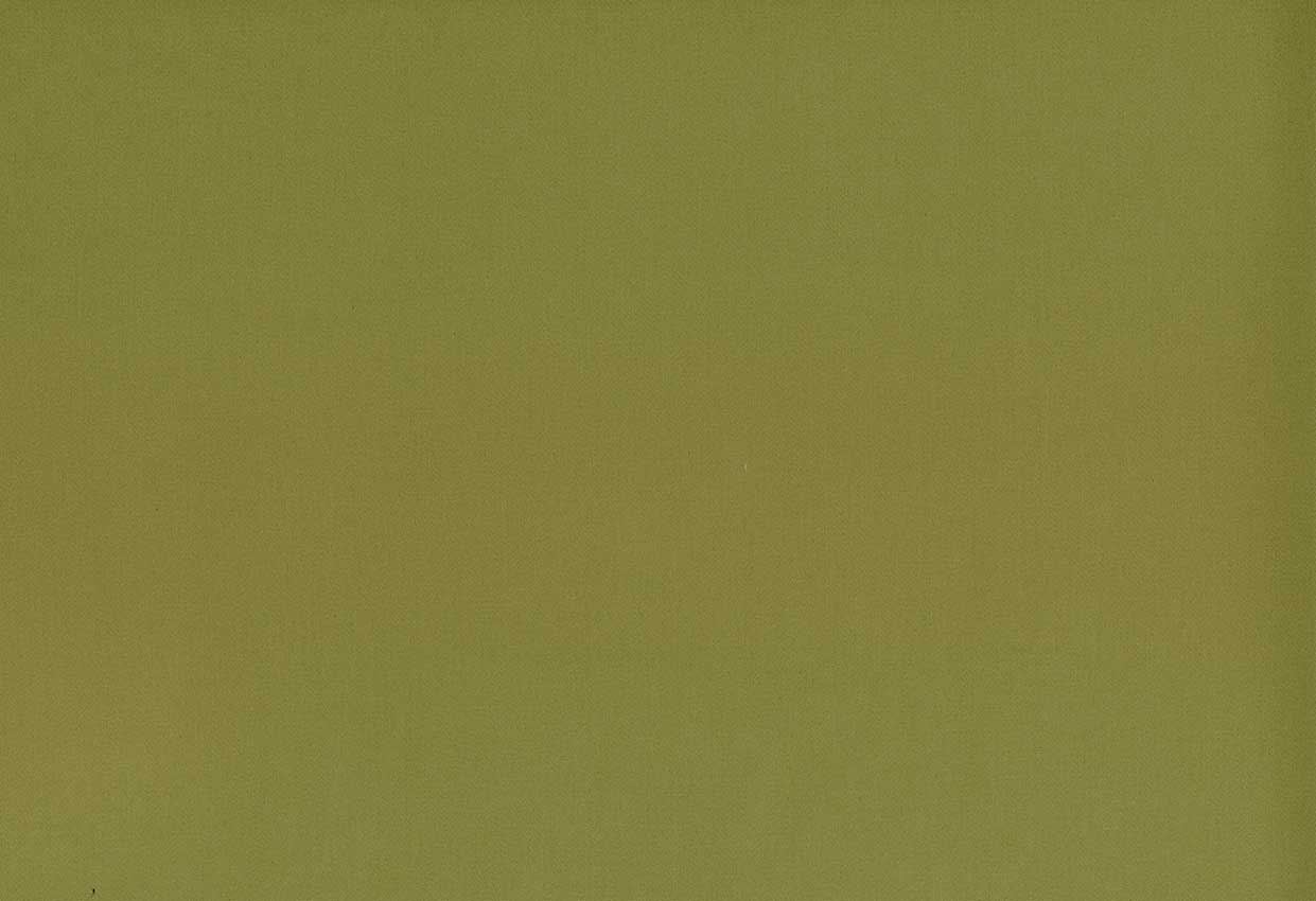 Picture of TURKS-OLIVE