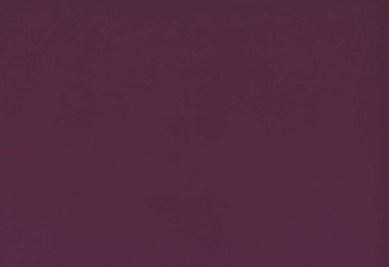 Picture of TURKS-PLUM