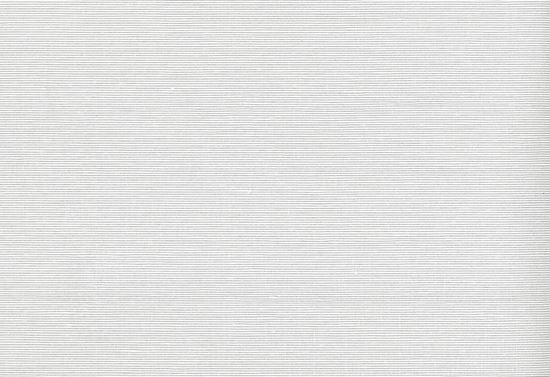 Picture of JALAN WC-SILVERLINING