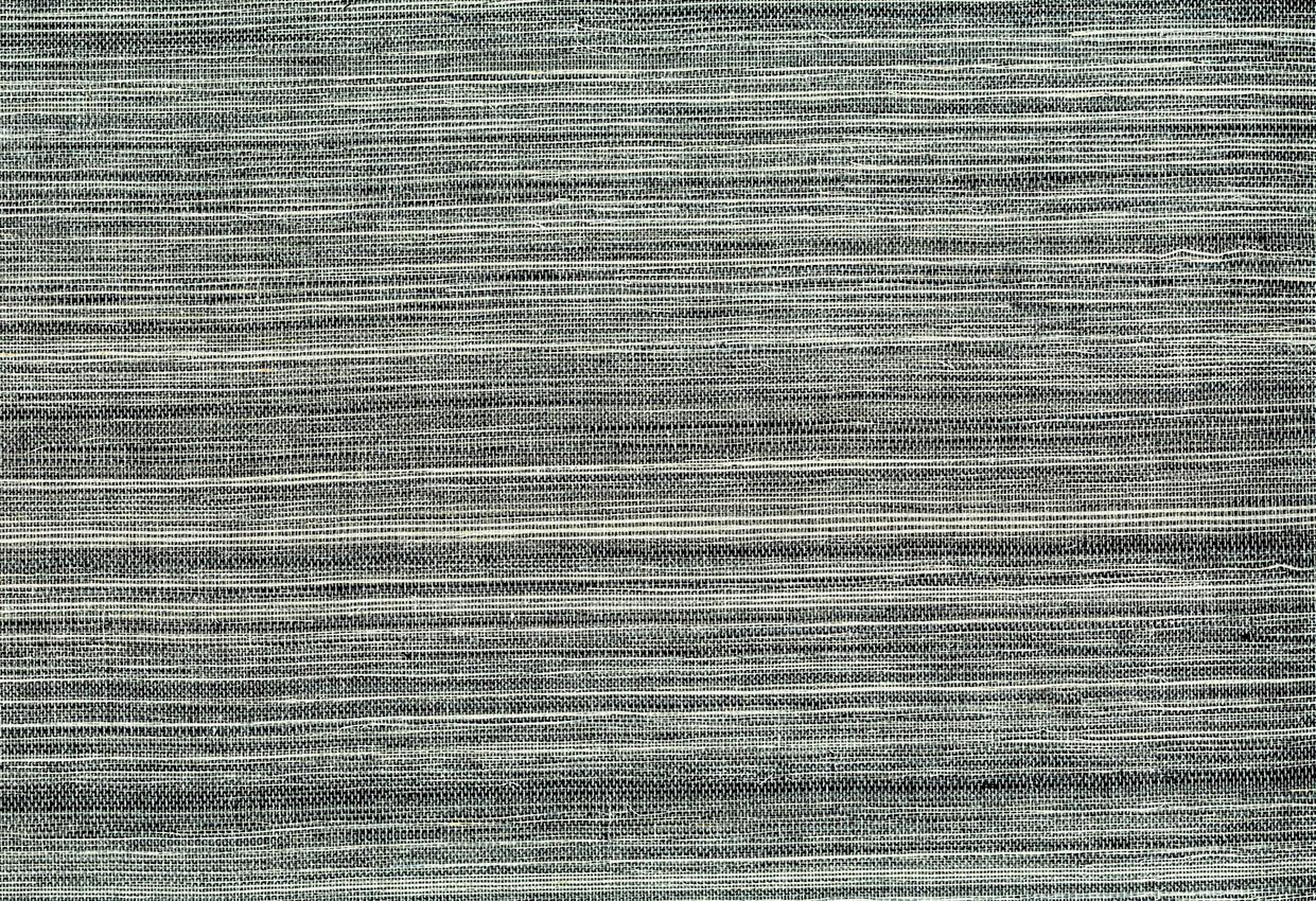 Picture of WRIGHT WC-ZEBRA