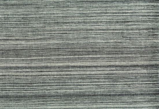 Picture of WRIGHT WC-ZEBRA