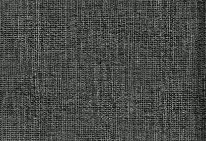 Picture of SALEM WC-GREY