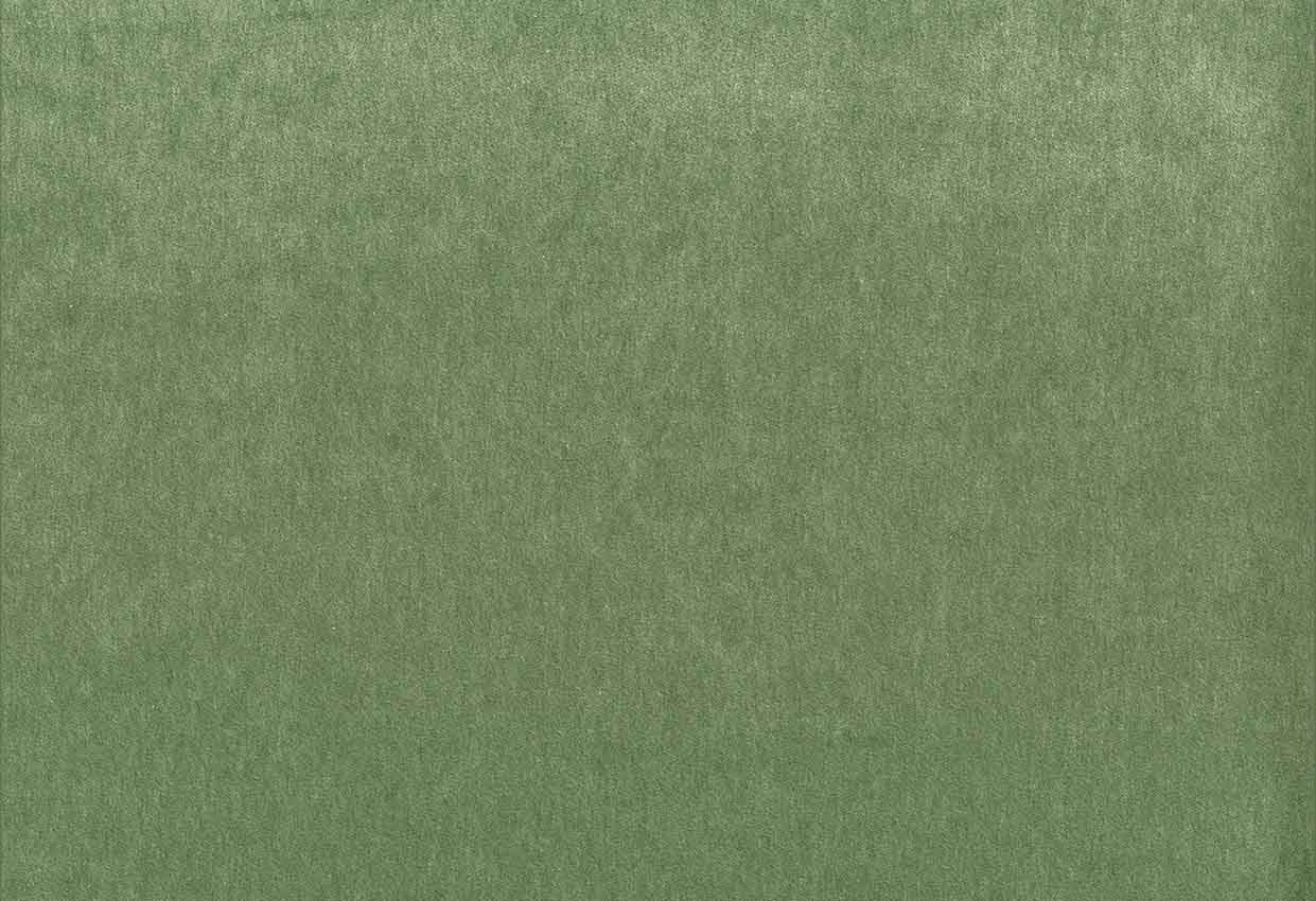 Picture of MONTREAL-PINE