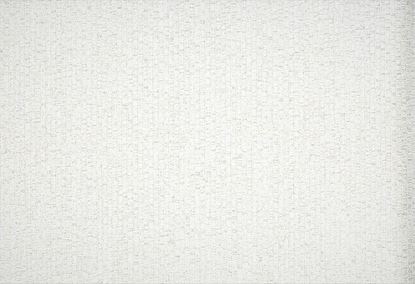 Picture of ECTOR WC-MIST