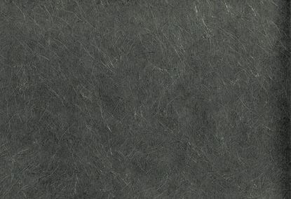 Picture of ENTRAN WC-GREY