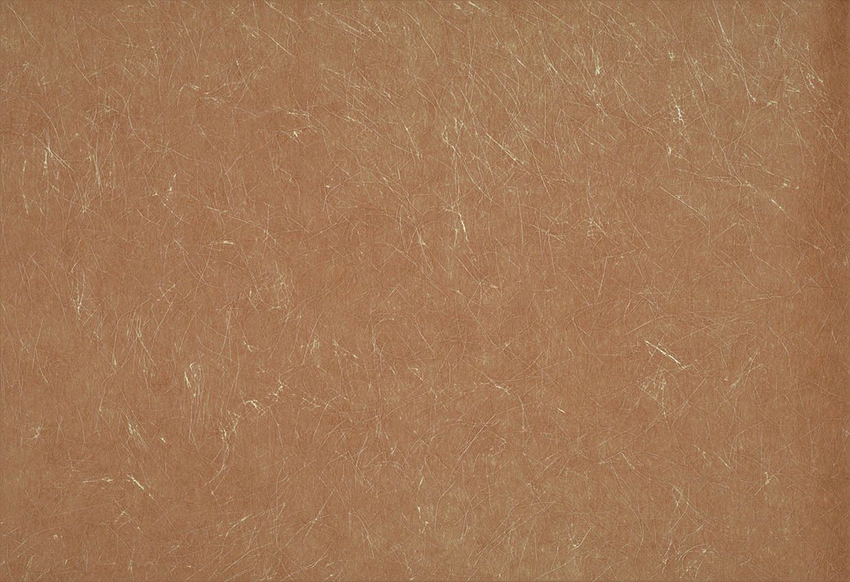 Picture of ENTRAN WC-RUST