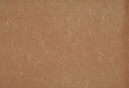 Picture of ENTRAN WC-RUST