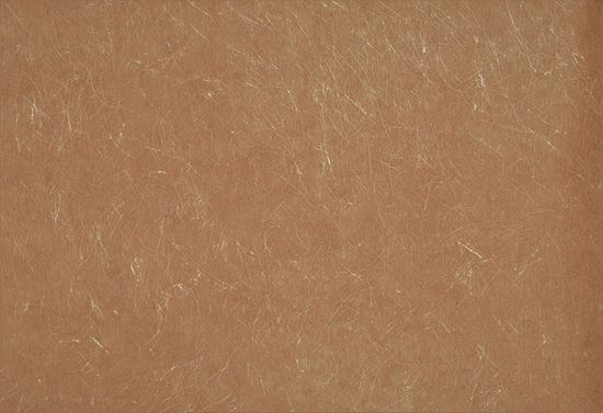 Picture of ENTRAN WC-RUST