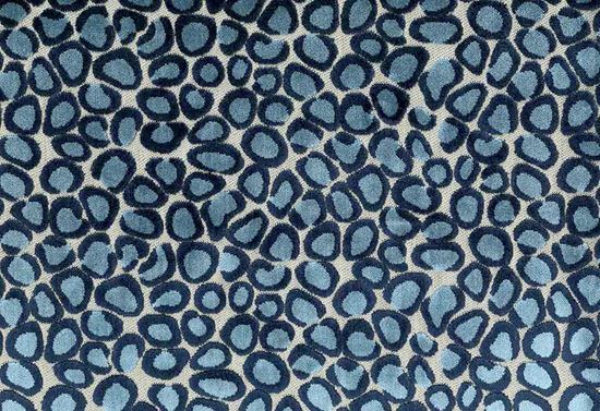 Picture of CLIO-NAVY