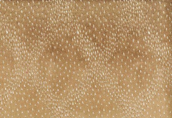 Picture of NJORO-FAWN