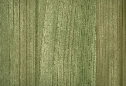 Picture of BIRCH WC-CELADON