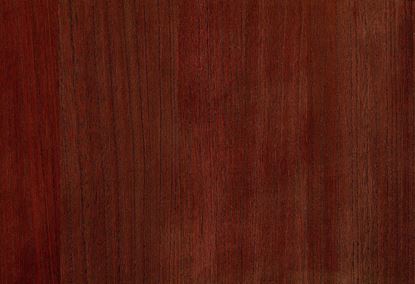 Picture of BIRCH WC-SPICE